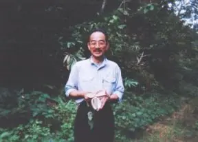 大きなアケビ