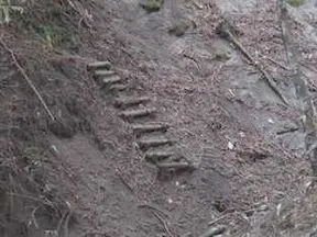 崩れた桟橋(至る所がこんな状況) 崩れた桟橋(至る所がこんな状況)