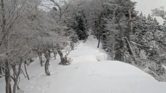 深い雪道